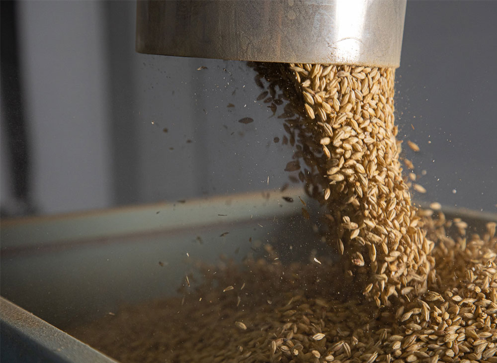 <b>How to choose the beer brewing malt for a microbrewery?</b>